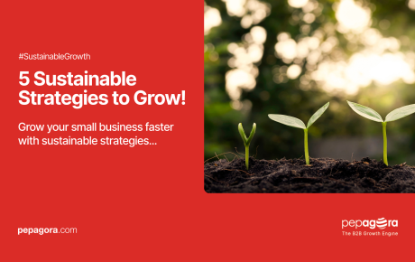 5 Sustainable Strategies to Grow a Small Business