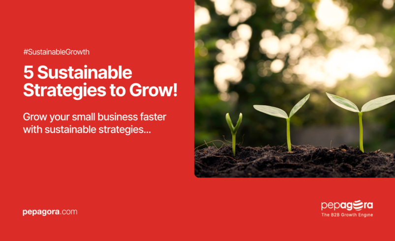 5 Sustainable Strategies to Grow a Small Business