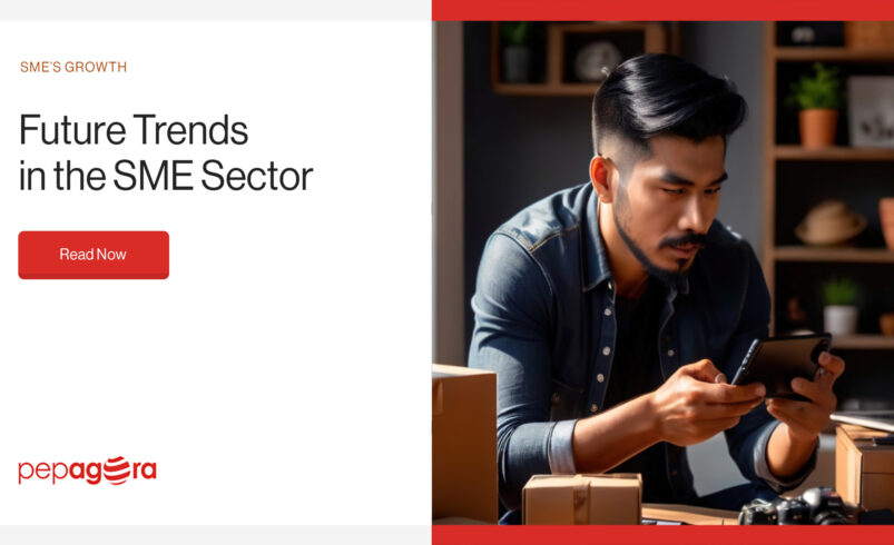 Future Trends in the SME Sector