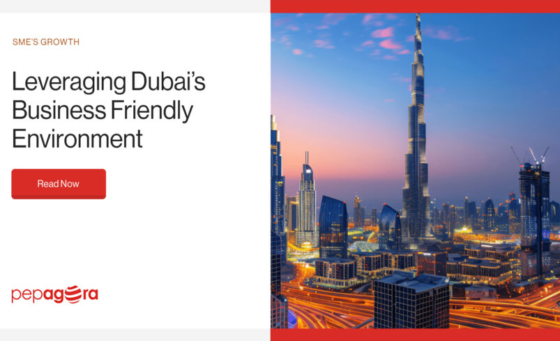 Leveraging Dubai’s Business Friendly Environment
