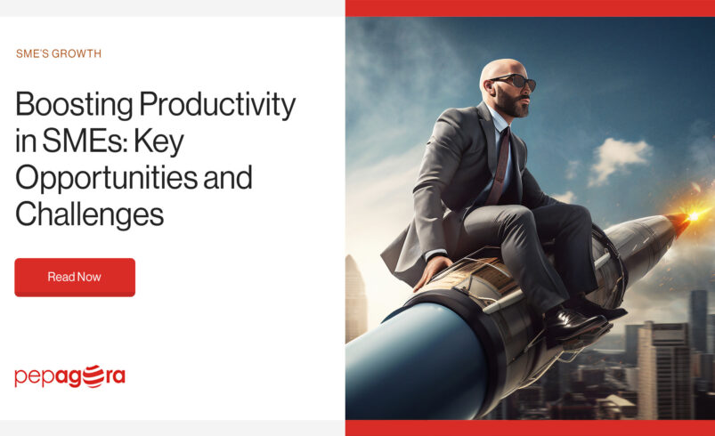 Boosting Productivity in SMEs: Key Opportunities and Challenges