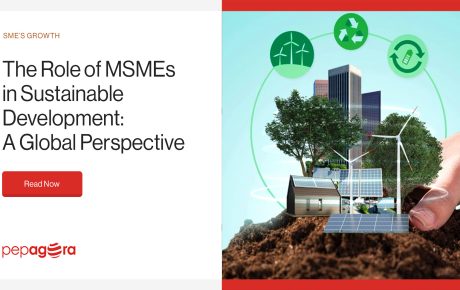 The Role of MSMEs in Sustainable Development: A Global Perspective