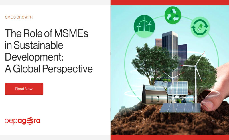 The Role of MSMEs in Sustainable Development: A Global Perspective
