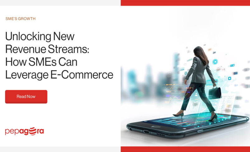 Unlocking New Revenue Streams: How SMEs Can Leverage E-commerce