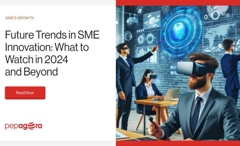Future Trends in SME Innovation: What to Watch in 2024 and Beyond