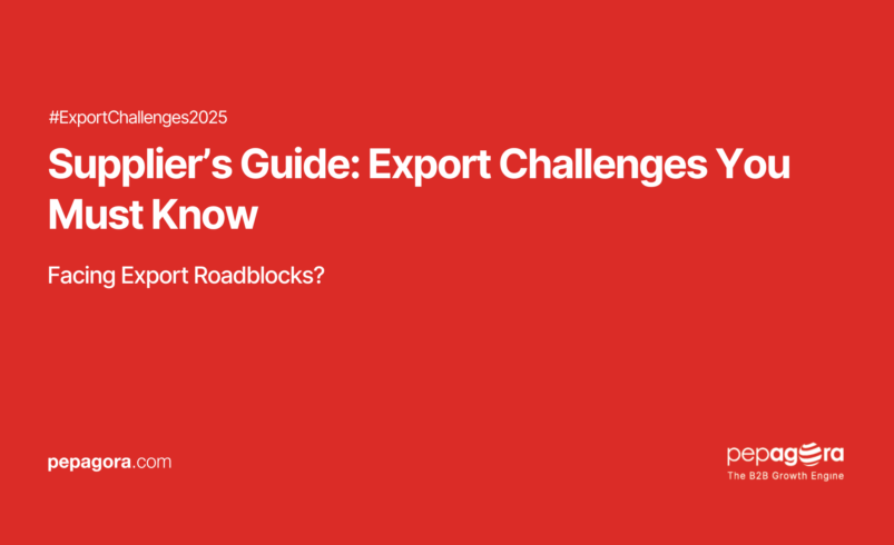 Supplier’s Guide: Export Challenges You Must Know