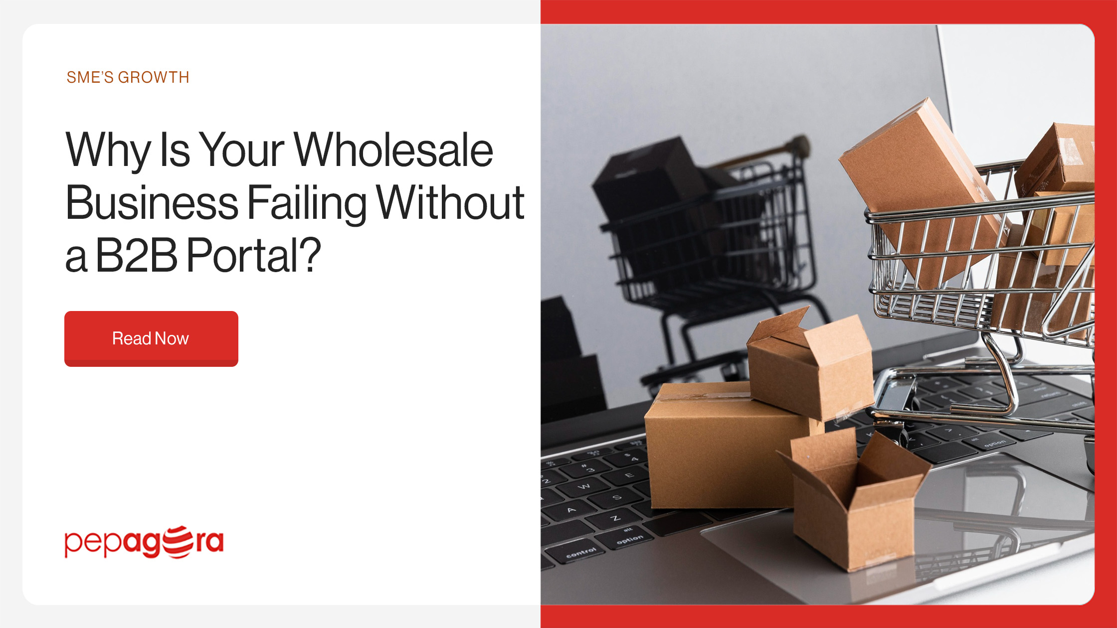 Why Is Your Wholesale Business Failing Without a B2B Portal