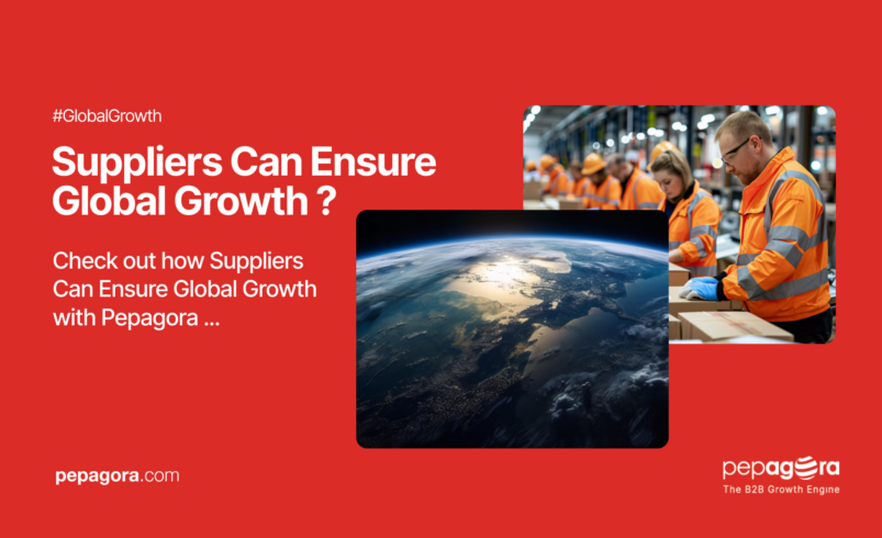 How Suppliers Can Ensure Global Growth with Pepagora