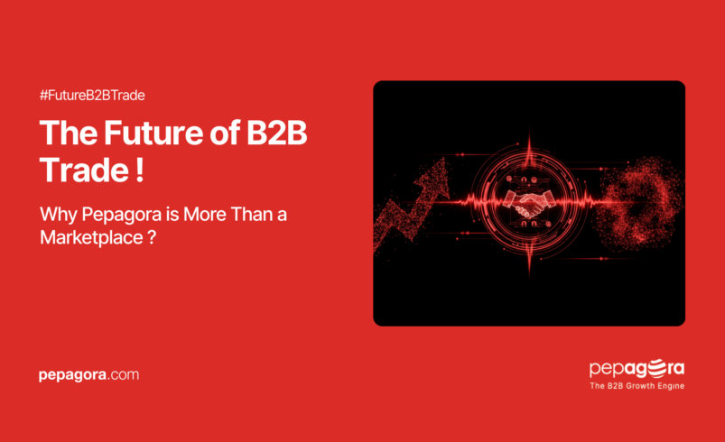 Future of B2B Trade: Why Pepagora is More Than a Marketplace