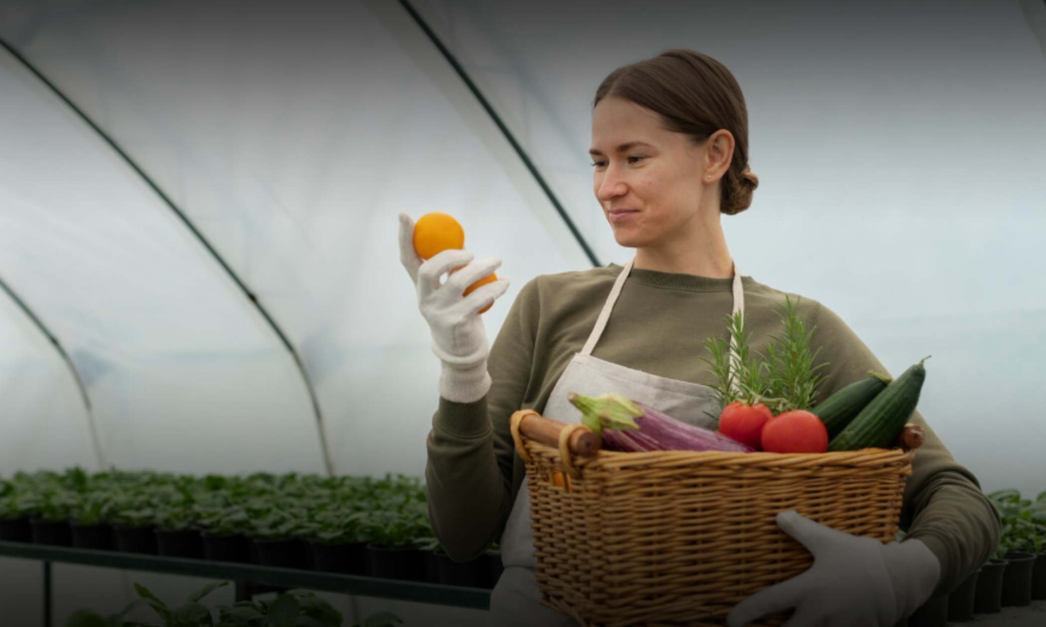 Cultivating Tomorrow: How Food & Agriculture Are Evolving