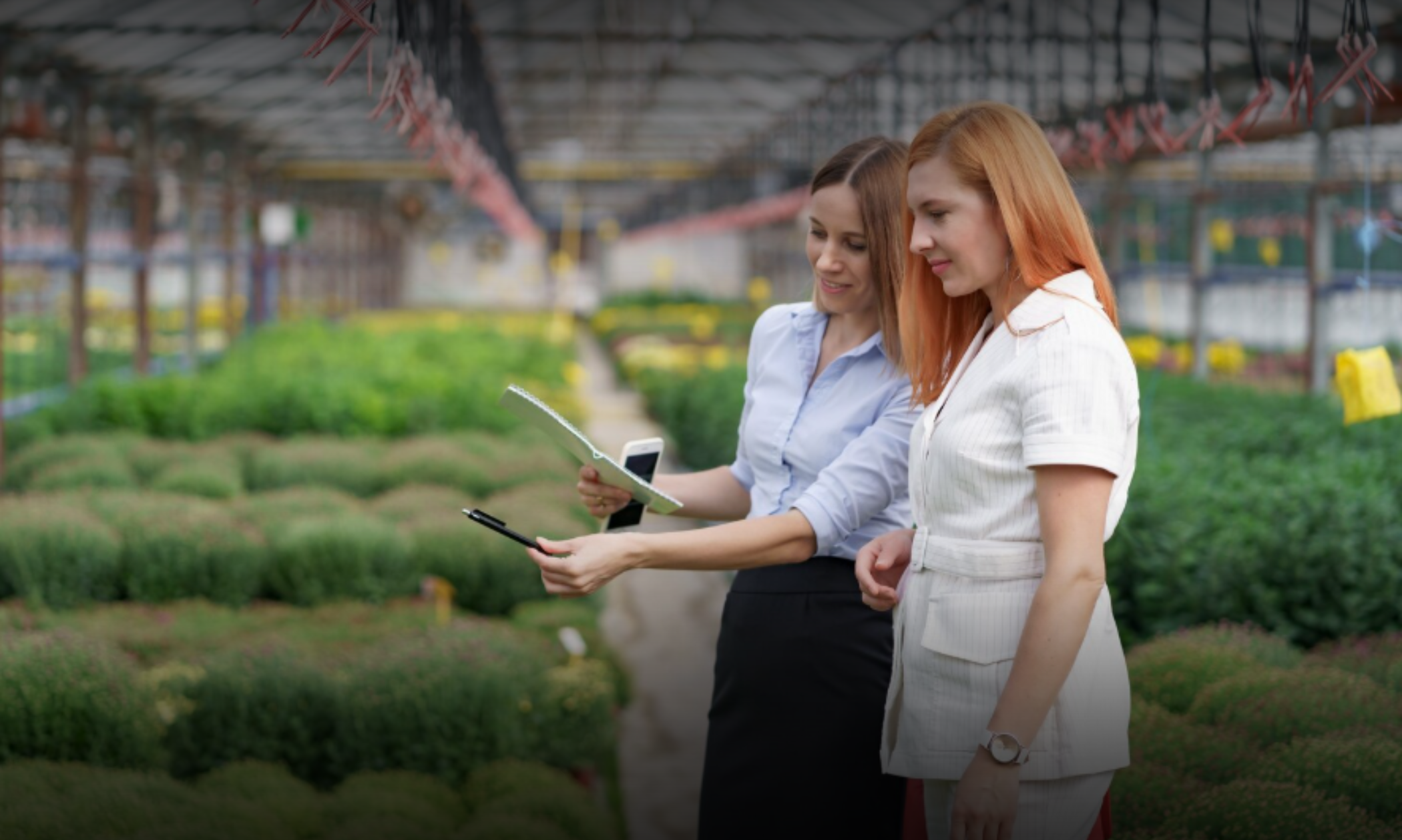 Farm to Fortune: Consultancy Unlocks Agricultural Potential