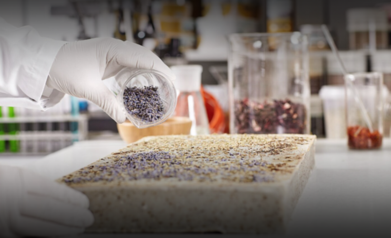 Sustainable Advances in Raw Materials & Chemicals