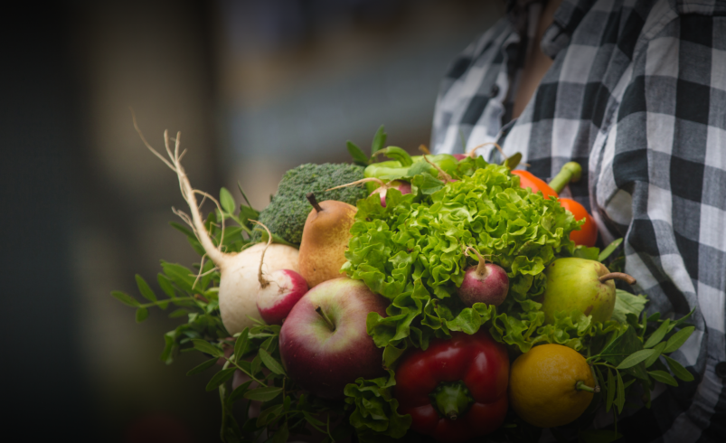 Sustainable Food and Agriculture Practices to Watch in 2026