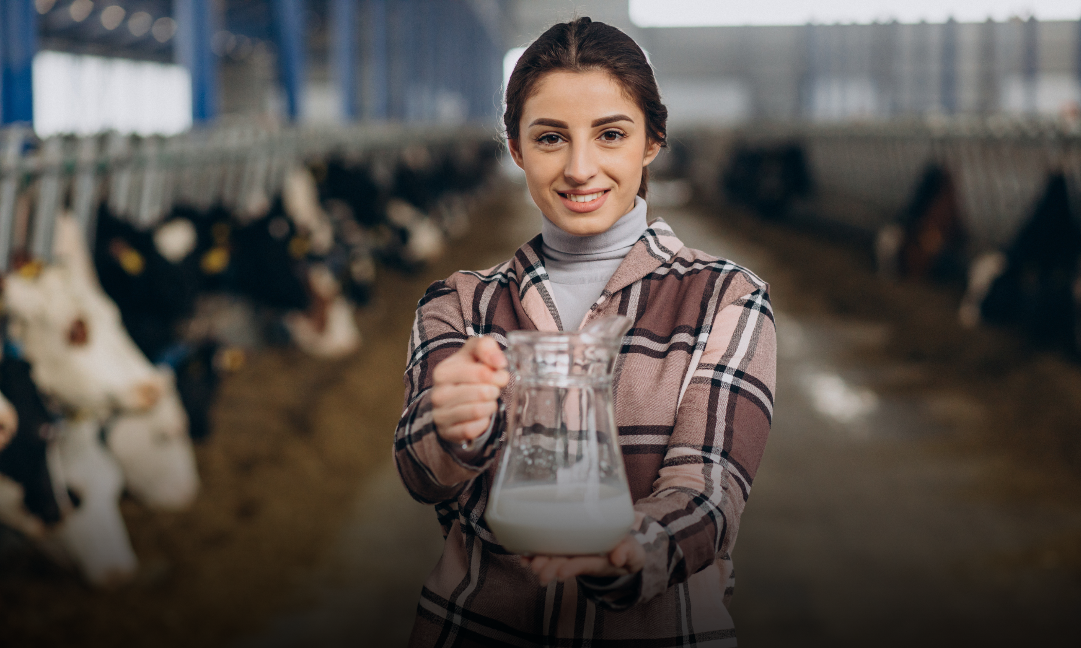 Why Local Dairy Networks Are Reshaping Food Trust