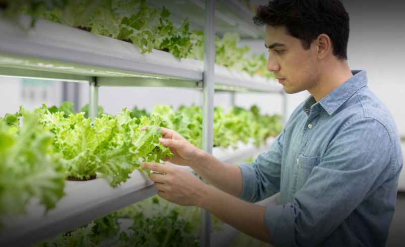 Why Small Farms Need Vertical Systems in 2026