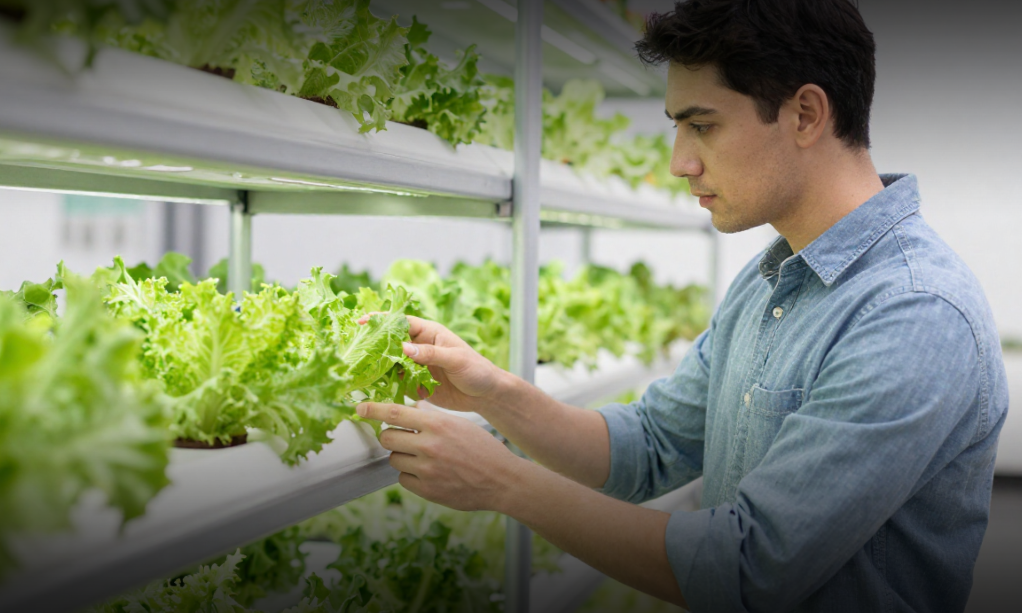 Why Small Farms Need Vertical Systems in 2026