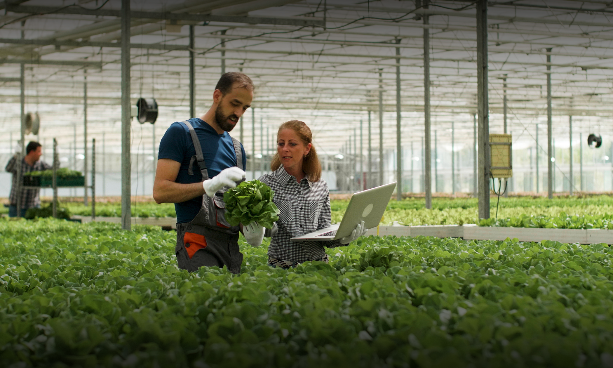 Why Smart Agribusinesses Are Investing in IPDM