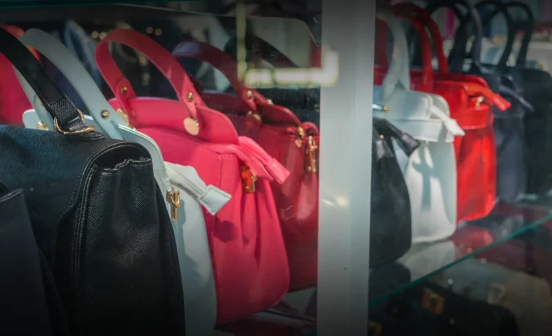 Top 5 Bag Manufacturers in India 2026