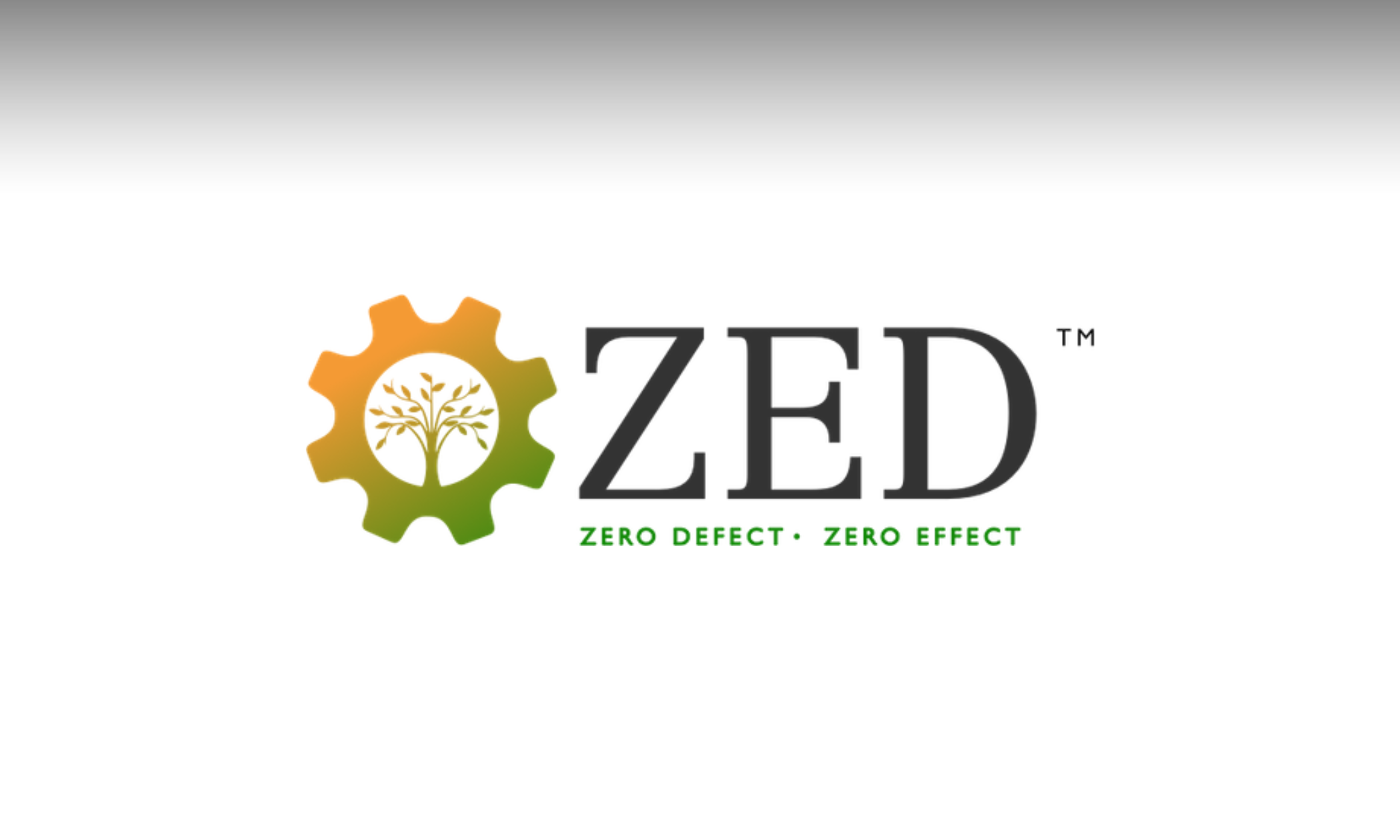 ZED Scheme for MSMEs & How Pepagora Boosts Growth