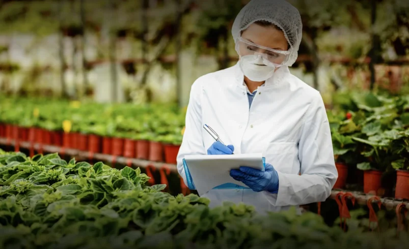 Modern Food and Agricultural Supply Chain Strategies