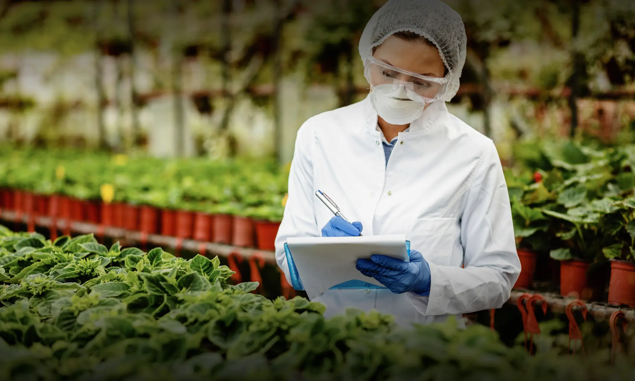 Modern Food and Agricultural Supply Chain Strategies